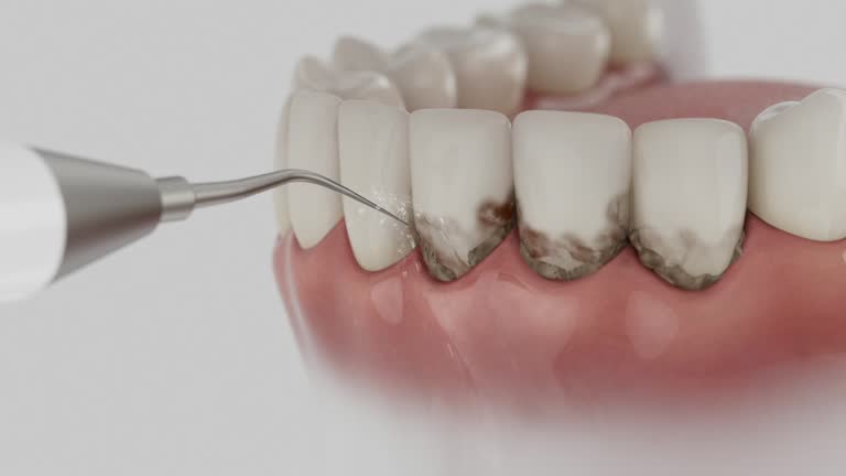 Reliable Dental contractor in Vienna, VA by Dentist Open Now